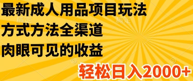 最新成人用品项目玩法，方式方法全渠道，轻松日入2K+【揭秘】-云库资源