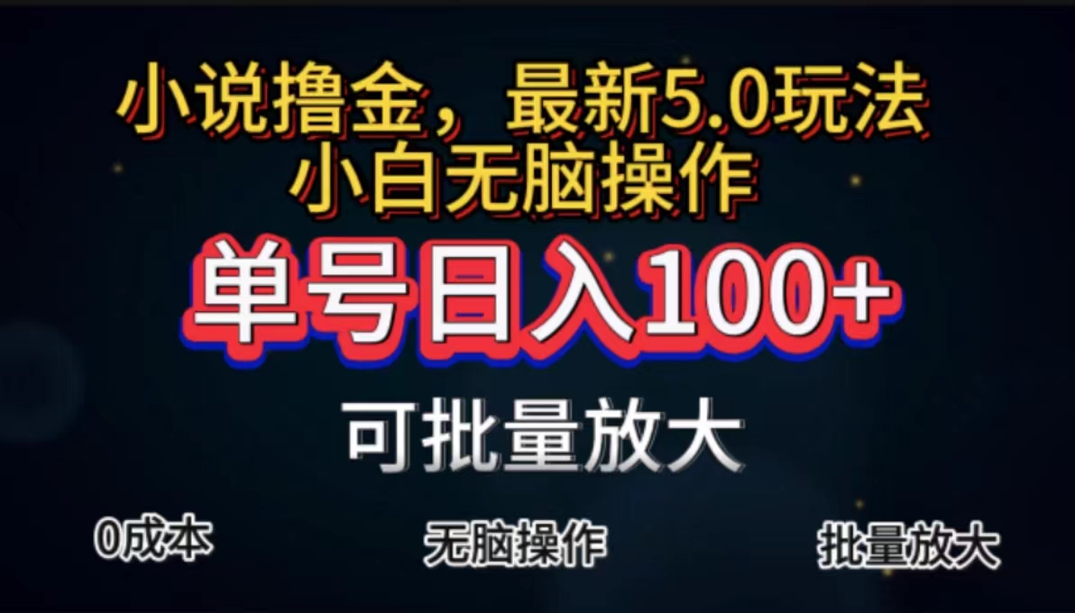 （11651期）全自动小说撸金，单号日入100+小白轻松上手，无脑操作-云库资源