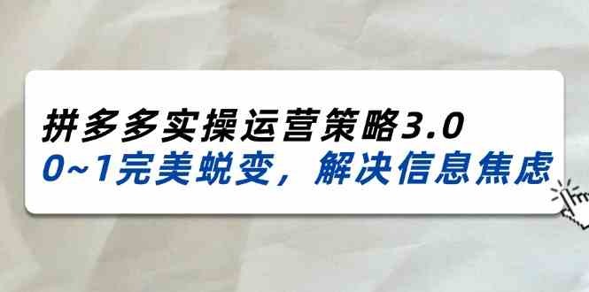 2024-2025拼多多实操运营策略3.0，0~1完美蜕变，解决信息焦虑（38节）-云库资源