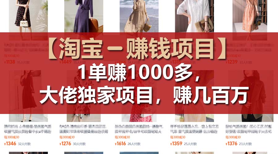 （11685期）【淘宝赚钱项目】1单可赚1000多，大佬独家项目，年赚几百万-云库资源