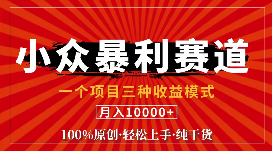 （11695期）视频号【中老年粉深信不疑】小众赛道 100%原创 手把手教学 新号3天收益…-云库资源