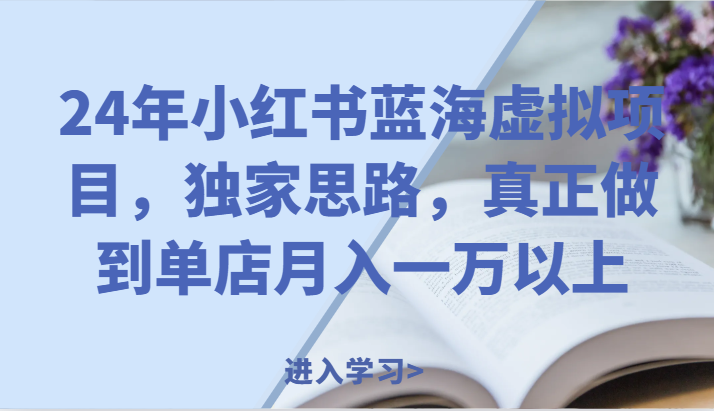 24年小红书蓝海虚拟项目，独家思路，真正做到单店月入一万以上。-云库资源