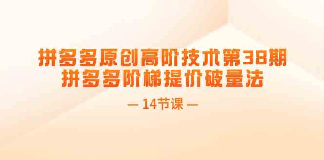 拼多多原创高阶技术第38期，拼多多阶梯提价破量法（14节课）-云库资源