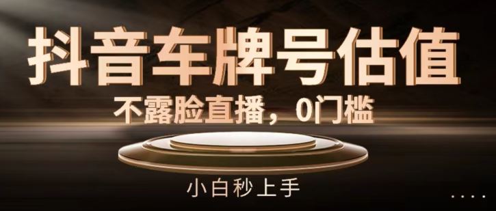 抖音车牌号估值，不露脸直播，0门槛，小白秒上手【揭秘】-云库资源