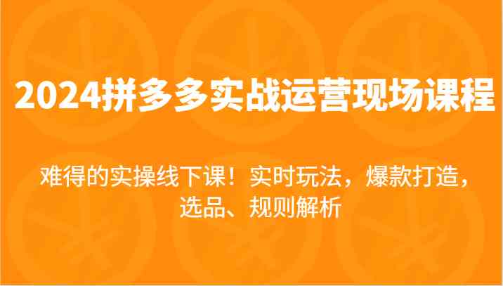 2024拼多多实战运营现场课，实时玩法，爆款打造，选品、规则解析，难得的实操线下课！-云库资源