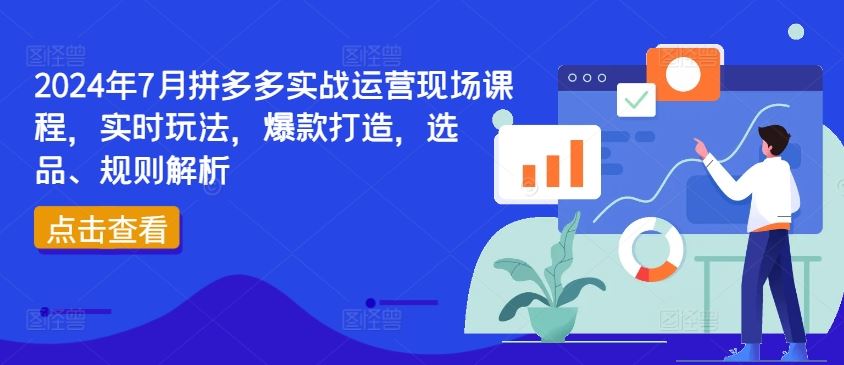 2024年7月拼多多实战运营现场课程，实时玩法，爆款打造，选品、规则解析-云库资源
