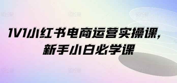 1V1小红书电商运营实操课，新手小白必学课-云库资源