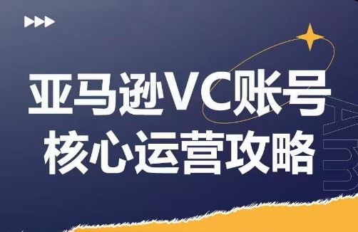 亚马逊VC账号核心玩法解析，实战经验拆解产品模块运营技巧，提升店铺GMV，有效提升运营利润-云库资源