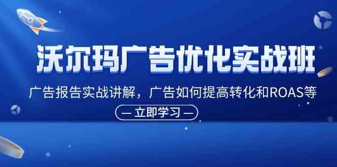 沃尔玛广告优化实战班，广告报告实战讲解，广告如何提高转化和ROAS等-云库资源