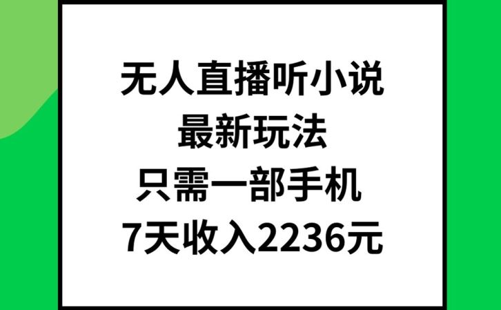 无人直播听小说最新玩法，只需一部手机，7天收入2236元【揭秘】-云库资源