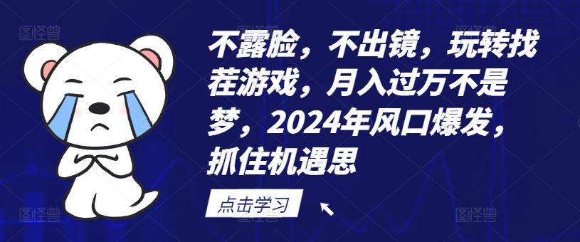 不露脸，不出镜，玩转找茬游戏，月入过万不是梦，2024年风口爆发，抓住机遇【揭秘】-云库资源