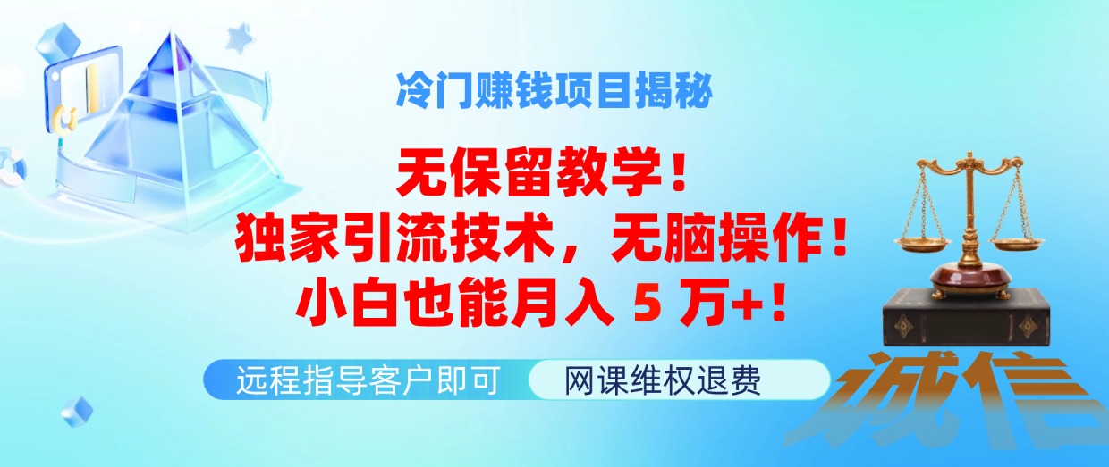（11864期）冷门赚钱项目无保留教学！独家引流技术，无脑操作！小白也能月入5万+！-云库资源