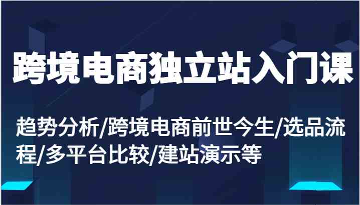 跨境电商独立站入门课：趋势分析/跨境电商前世今生/选品流程/多平台比较/建站演示等-云库资源