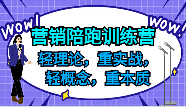 营销陪跑训练营，轻理论，重实战，轻概念，重本质，适合中小企业和初创企业的老板-云库资源