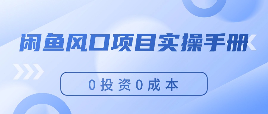 （11923期）闲鱼风口项目实操手册，0投资0成本，让你做到，月入过万，新手可做-云库资源
