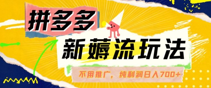 拼多多最新薅流玩法，无需开车推广，纯靠自然流吃饭-单纯赚50+利润，日入700+【揭秘】-云库资源