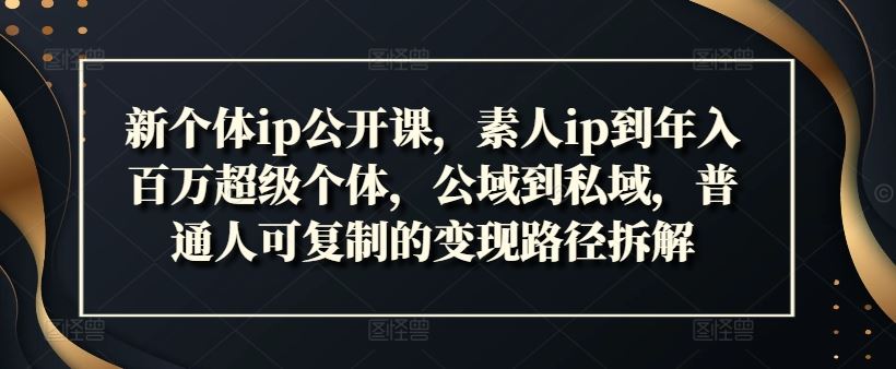 新个体ip公开课，素人ip到年入百万超级个体，公域到私域，普通人可复制的变现路径拆解-云库资源