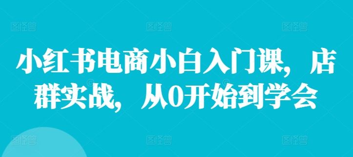小红书电商小白入门课，店群实战，从0开始到学会-云库资源