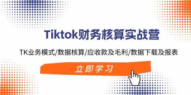 Tiktok财务核算实战营：TK业务模式/数据核算/应收款及毛利/数据下载及报表-云库资源