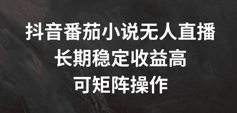 抖音番茄小说无人直播，长期稳定收益高，可矩阵操作【揭秘】-云库资源