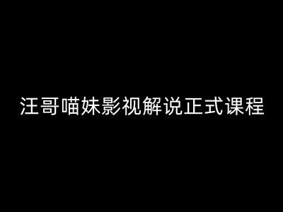 汪哥影视解说正式课程：剪映/PR教学/视解说剪辑5大黄金法则/全流程剪辑7把利器等等-云库资源