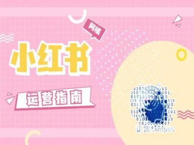 小红书运营指南，没有套路，全是经验-云库资源