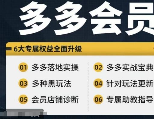 拼多多会员，拼多多实战宝典+实战落地实操，从新手到高阶内容全面覆盖-云库资源