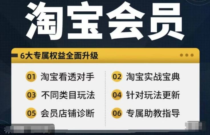 淘宝会员【淘宝所有课程，全面分析对手】，初级到高手全系实战宝典-云库资源