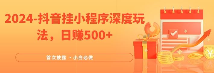 2024全网首次披露，抖音挂小程序深度玩法，日赚500+，简单、稳定，带渠道收入，小白必做【揭秘】-云库资源