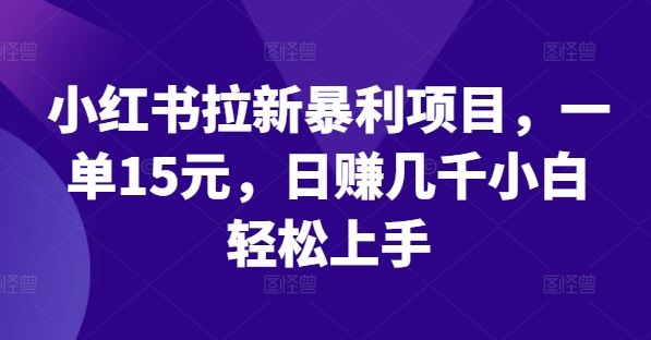 小红书拉新暴利项目，一单15元，日赚几千小白轻松上手【揭秘】-云库资源
