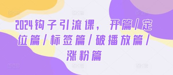 2024钩子引流课，开篇/定位篇/标签篇/破播放篇/涨粉篇-云库资源