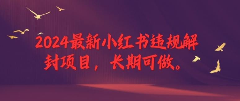 2024最新小红书违规解封项目，长期可做，一个可以做到退休的项目【揭秘】-云库资源