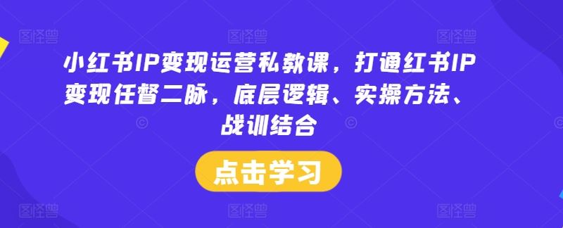 小红书IP变现运营私教课，打通红书IP变现任督二脉，底层逻辑、实操方法、战训结合-云库资源