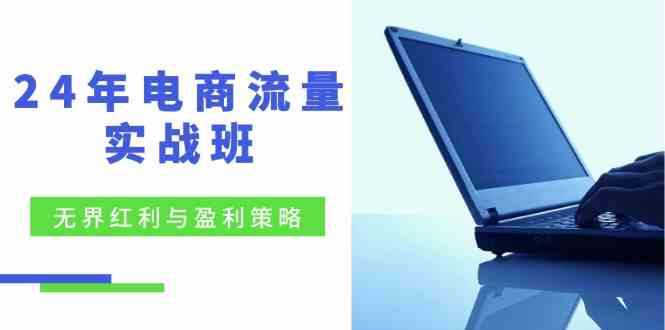 电商流量实战班：无界红利与盈利策略，终极提升/关键词优化/精准人群拓展/创新玩法-云库资源