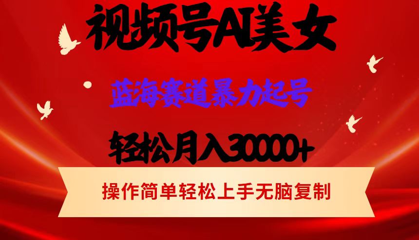 （12178期）视频号AI美女跳舞，轻松月入30000+，蓝海赛道，流量池巨大，起号猛，当…-云库资源