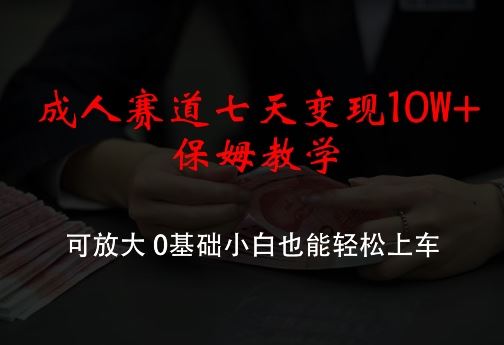 成人赛道七天变现10W+保姆教学，可放大，0基础小白也能轻松上车【揭秘】-云库资源