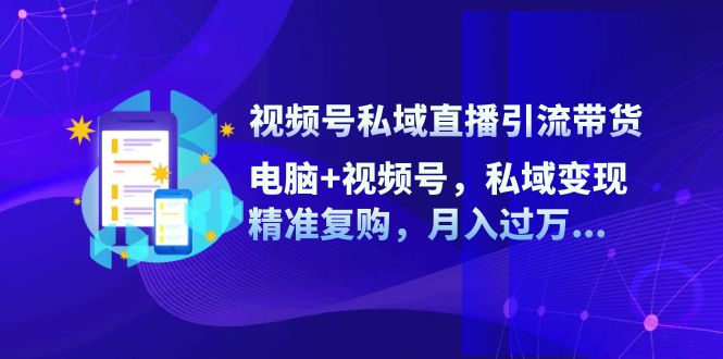 （12249期）视频号私域直播引流带货：电脑+视频号，私域变现，精准复购，月入过万…-云库资源