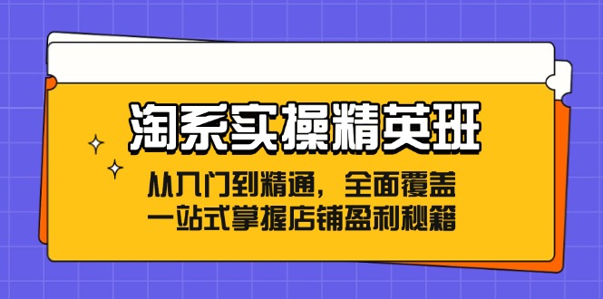 （12276期）淘系实操精英班：从入门到精通，全面覆盖，一站式掌握店铺盈利秘籍-云库资源