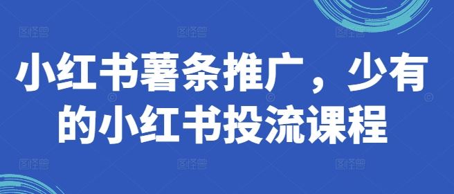 小红书薯条推广，少有的小红书投流课程-云库资源