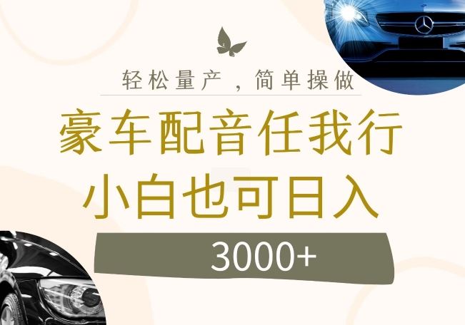 不为人知的暴力小项目，豪车配音，日入几张【揭秘】-云库资源