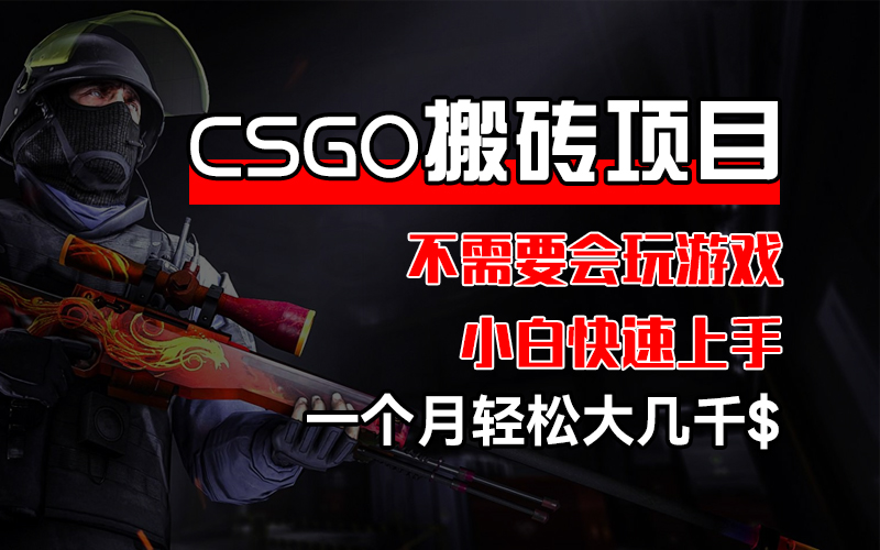 （12332期）CSGO 装备搬砖项目，操作简单，不需要会玩游戏，小白也能快速上手，一…-云库资源