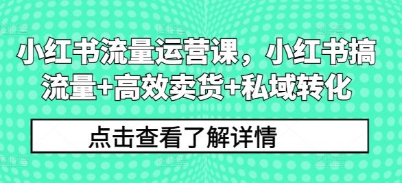 小红书流量运营课，小红书搞流量+高效卖货+私域转化-云库资源