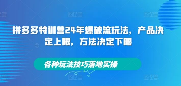 拼多多特训营24年爆破流玩法，产品决定上限，方法决定下限，各种玩法技巧落地实操-云库资源