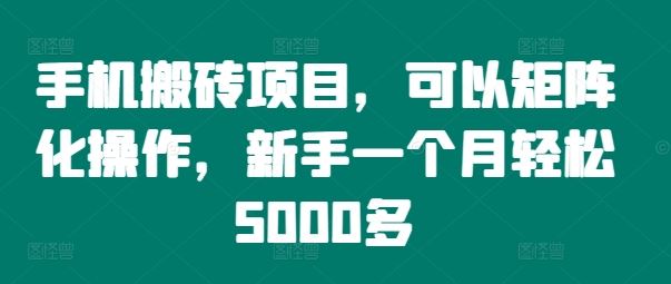 手机搬砖项目，可以矩阵化操作，新手一个月轻松5000多-云库资源