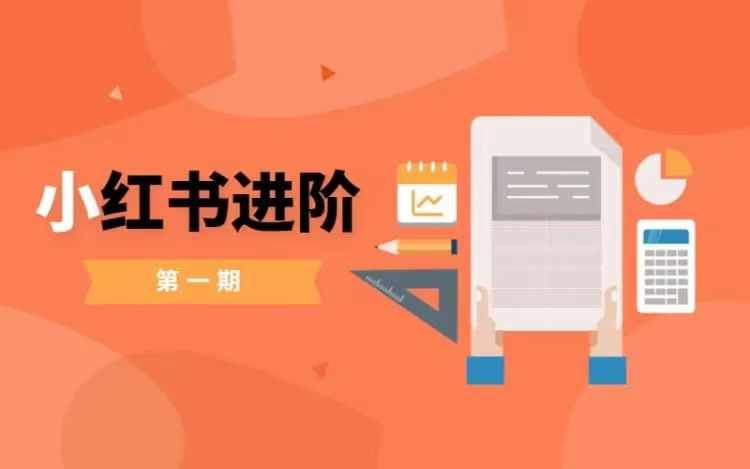 小红书进阶篇，零基础小白实战课，普通人变现的课程-云库资源