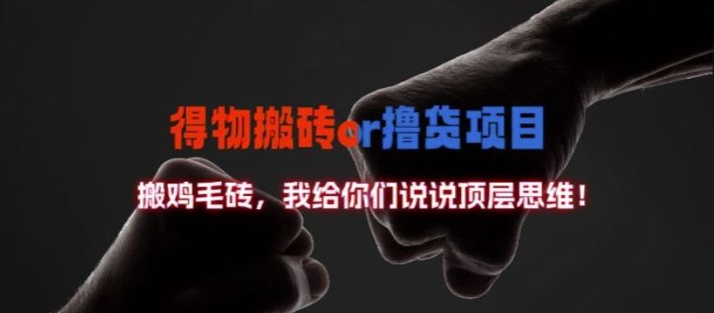 得物搬砖撸货项目?掰下数据，我给你们说说顶层思维【揭秘】-云库资源