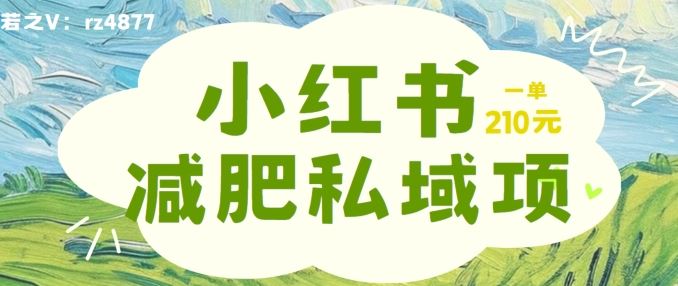小红书减肥粉，私域变现项目，一单就达210元，小白也能轻松上手【揭秘】-云库资源