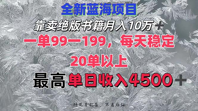 （12512期）靠卖绝版书籍月入10W+,一单99-199，一天平均20单以上，最高收益日入4500+-云库资源