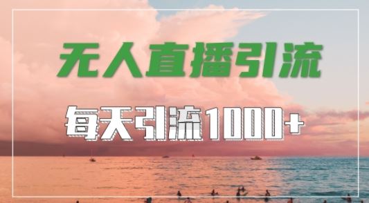 抖音快手视频号全平台通用，无人直播引流法，超暴力引流1000+高质量精准创业粉【揭秘】-云库资源