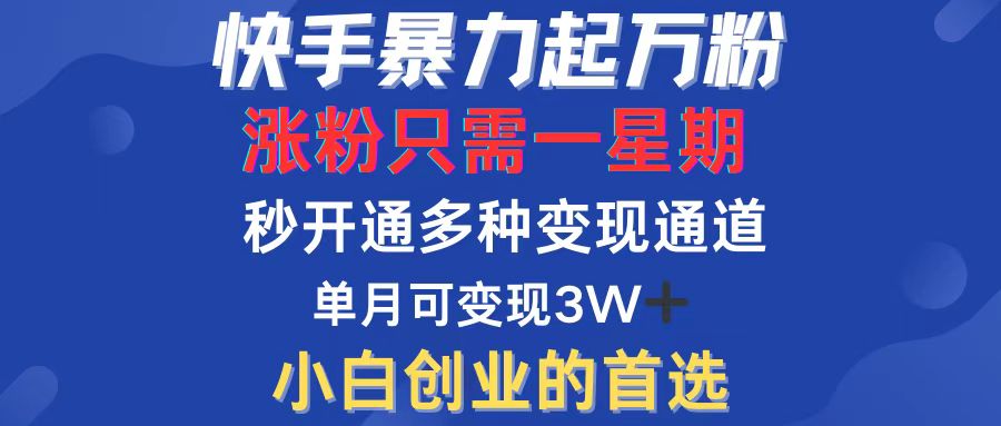（12651期）快手暴力起万粉，涨粉只需一星期，多种变现模式，直接秒开万合，小白创…-云库资源